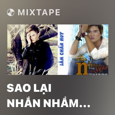 Mixtape Sao Lại Nhắn Nhầm Máy Anh - Various Artists