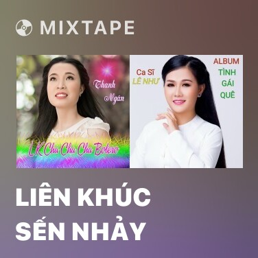 Mixtape Liên Khúc Sến Nhảy - Various Artists