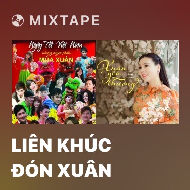 Mixtape Liên Khúc Đón Xuân - Various Artists