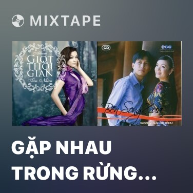 Mixtape Gặp Nhau Trong Rừng Mơ - Various Artists