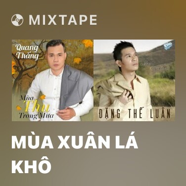 Mixtape Mùa Xuân Lá Khô - Various Artists