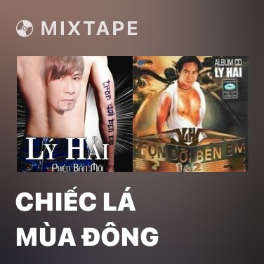 Mixtape Chiếc Lá Mùa Đông - Various Artists