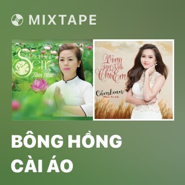 Mixtape Bông Hồng Cài Áo - Various Artists