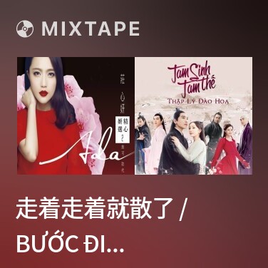 Mixtape 走着走着就散了 / Bước Đi Bước Đi Chính Là Chia Tay - Various Artists