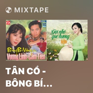 Mixtape Tân Cổ - Bông Bí Vàng - Various Artists
