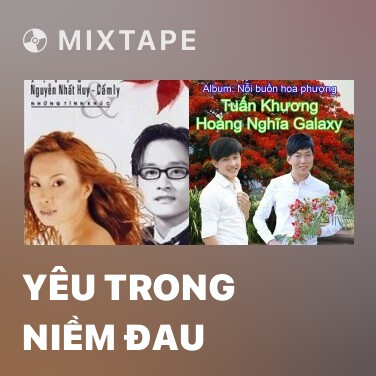 Mixtape Yêu Trong Niềm Đau - Various Artists
