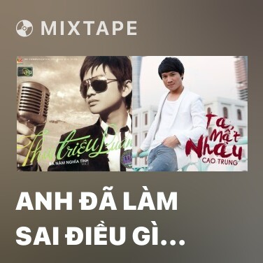 Mixtape Anh Đã Làm Sai Điều Gì (Remix) - Various Artists