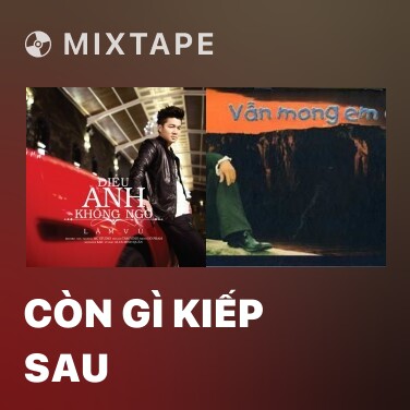 Mixtape Còn Gì Kiếp Sau - Various Artists