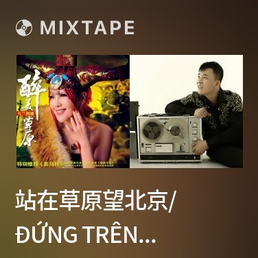 Mixtape 站在草原望北京/ Đứng Trên Thảo Nguyên Ngắm Bắc Kinh - Various Artists