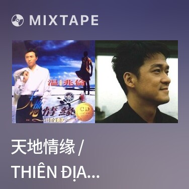Mixtape 天地情缘 / Thiên Địa Tình Duyên - Various Artists