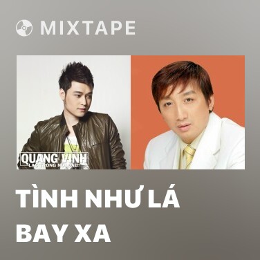 Mixtape Tình Như Lá Bay Xa - Various Artists