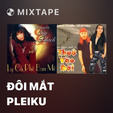 Mixtape Đôi Mắt Pleiku - Various Artists