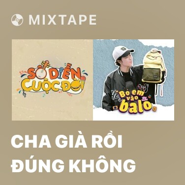 Mixtape Cha Già Rồi Đúng Không - Various Artists