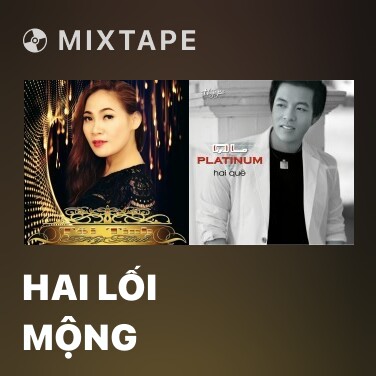 Mixtape Hai Lối Mộng - Various Artists