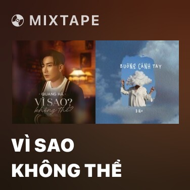 Mixtape Vì Sao Không Thể - Various Artists