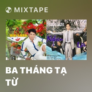 Mixtape Ba Tháng Tạ Từ - Various Artists