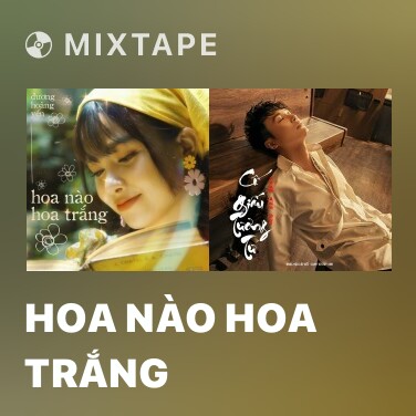 Mixtape Hoa Nào Hoa Trắng - Various Artists