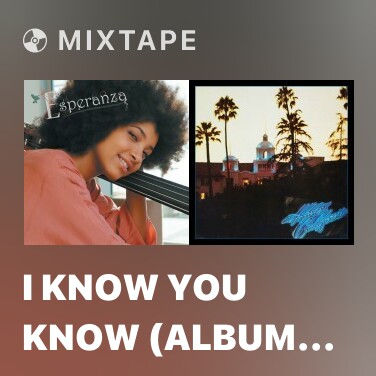 Mixtape I Know You Know (Album Version) - Various Artists