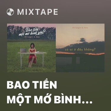 Mixtape Bao Tiền Một Mớ Bình Yên? - Various Artists