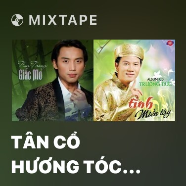 Mixtape Tân Cổ Hương Tóc Mạ Non - Various Artists
