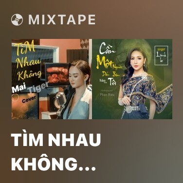 Mixtape Tìm Nhau Không (Cover) - Various Artists