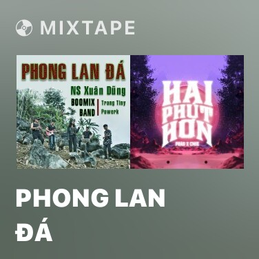 Mixtape Phong Lan Đá - Various Artists