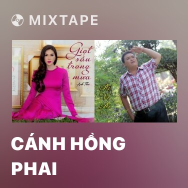 Mixtape Cánh Hồng Phai - Various Artists