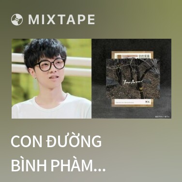 Mixtape Con Đường Bình Phàm (Live) / 平凡之路 - Various Artists