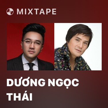 Mixtape Dương Ngọc Thái - Various Artists
