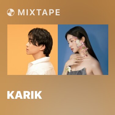 Mixtape Karik - Various Artists