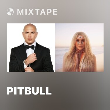 Mixtape Pitbull - Various Artists