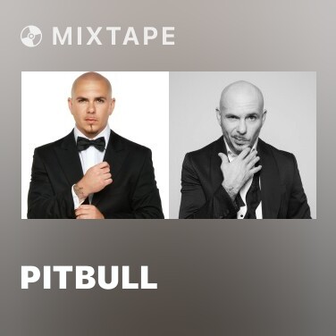 Mixtape Pitbull - Various Artists