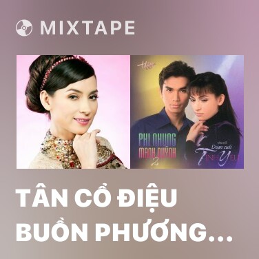 Mixtape Tân Cổ Điệu Buồn Phương Nam - Various Artists