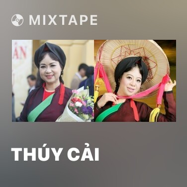 Mixtape Thúy Cải - Various Artists