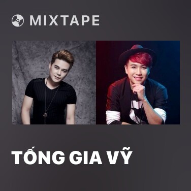 Mixtape Tống Gia Vỹ - Various Artists
