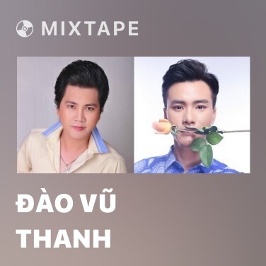 Mixtape Đào Vũ Thanh - Various Artists