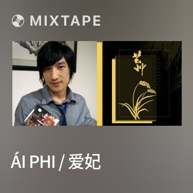 Mixtape Ái Phi / 爱妃 - Various Artists
