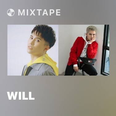 Mixtape Will - Various Artists