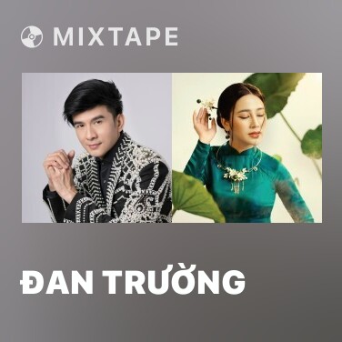 Mixtape Đan Trường - Various Artists
